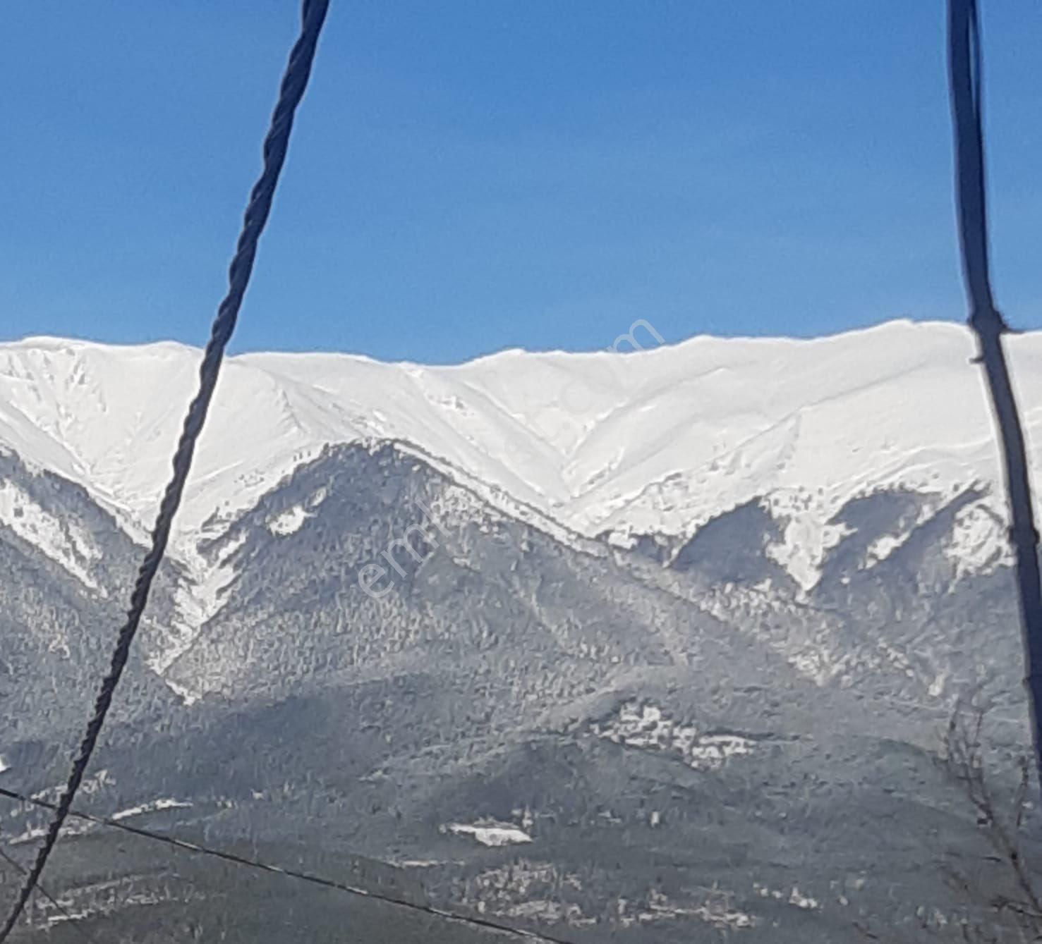 Berkay Emlaktan Satılık Kozbudaklar Köyü Tarla - Görsel 14