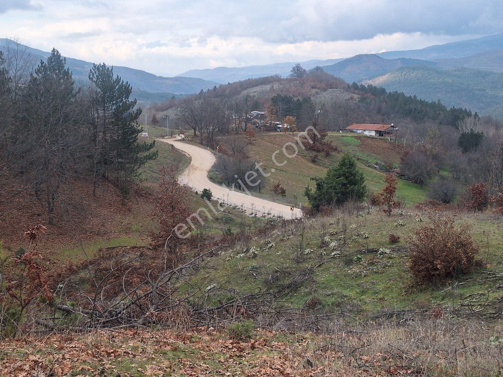 Berkay Emlaktan Satılık Kozbudaklar Köyü Tarla