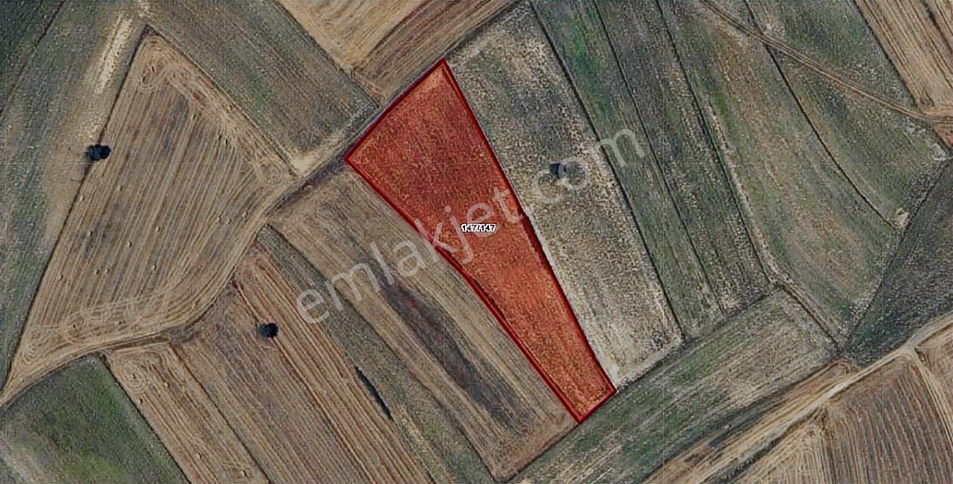 Turyaptan Ergene Bakırcada 8.500 M2 Satılık Yatırımlık Tarla - Görsel 6