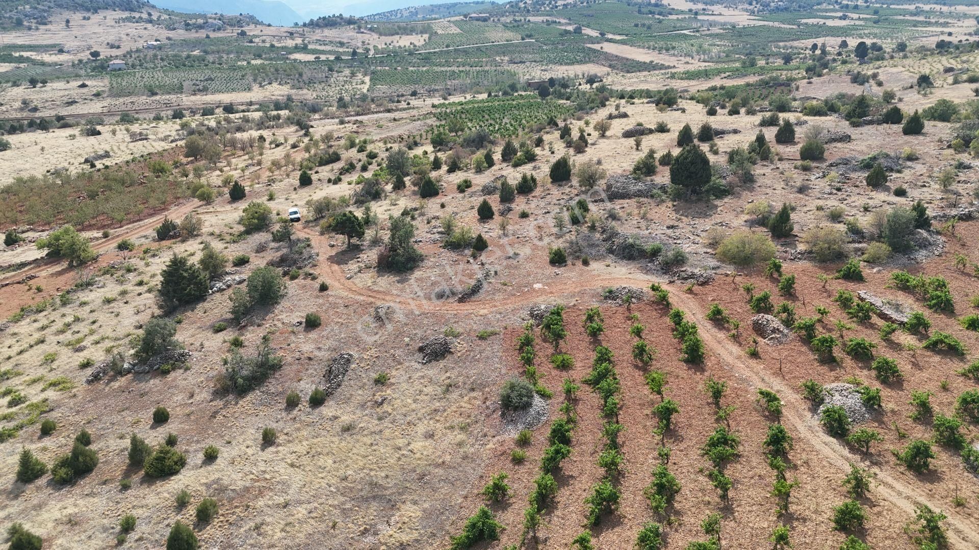 Konya / Hadim / Aşağıeşenler Mahallesinde 492 M² Müstakil Tapulu Bağ - Görsel 4