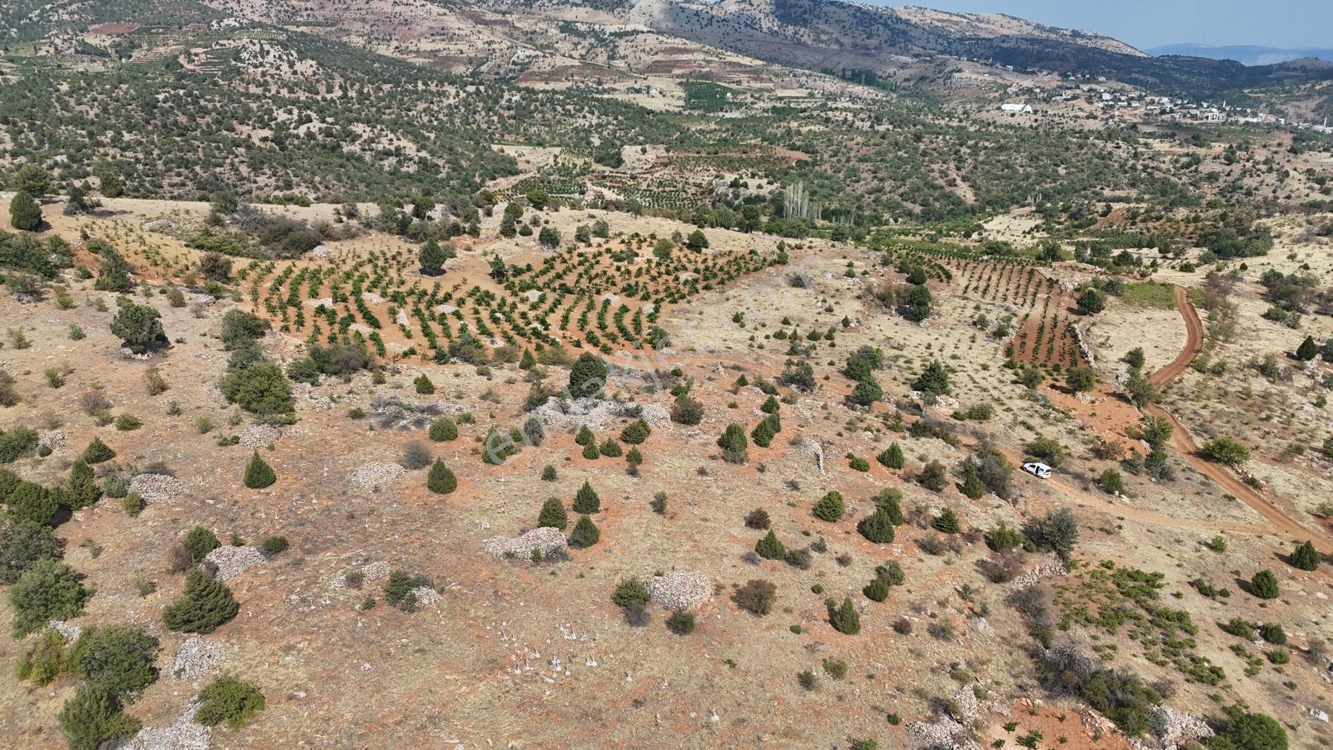 Konya / Hadim / Aşağıeşenler Mahallesinde 492 M² Müstakil Tapulu Bağ - Görsel 8