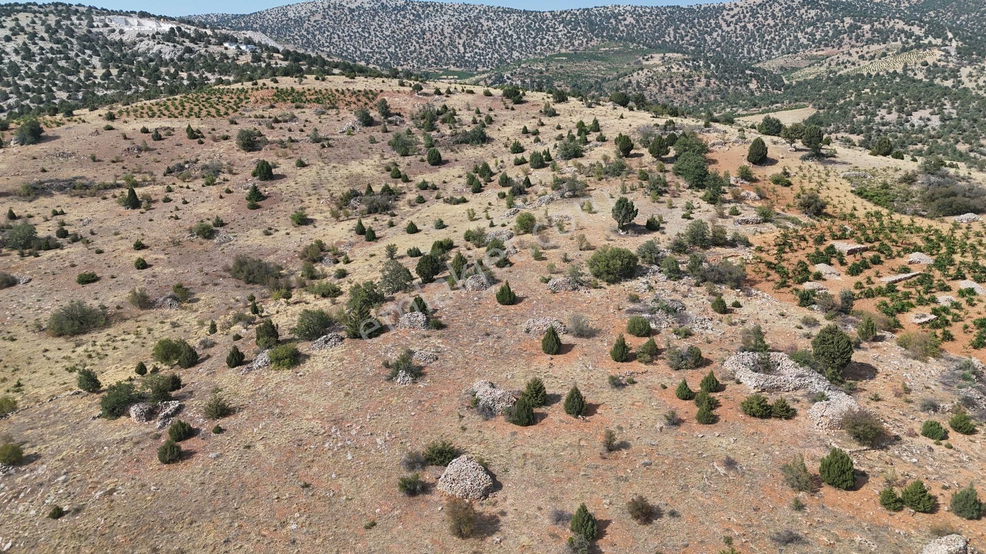 Konya / Hadim / Aşağıeşenler Mahallesinde 492 M² Müstakil Tapulu Bağ - Görsel 3