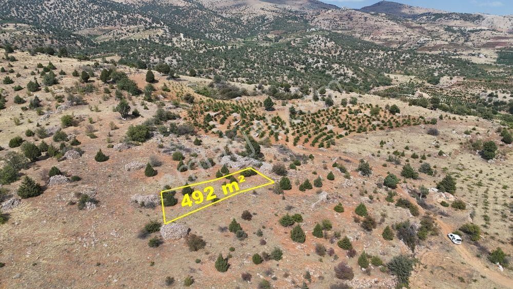 Konya / Hadim / Aşağıeşenler Mahallesinde 492 M² Müstakil Tapulu Bağ