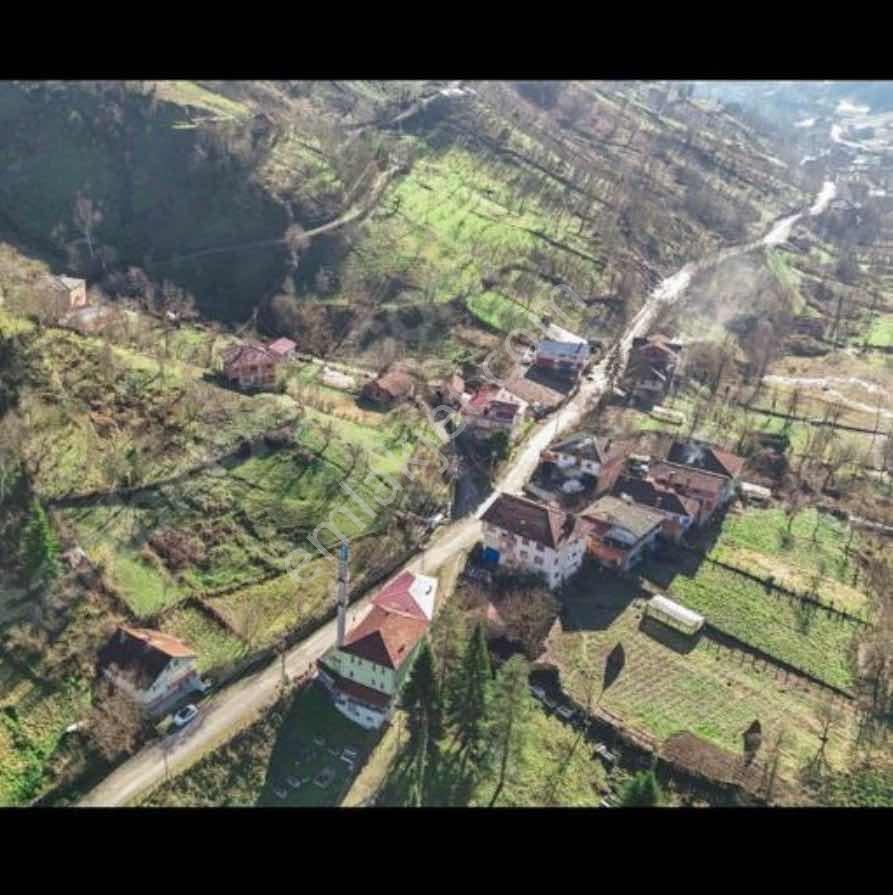 2066 Mt Arsa .konut İmarlı. 4 Eşit Parçaya Bölünebilir. - Görsel 13