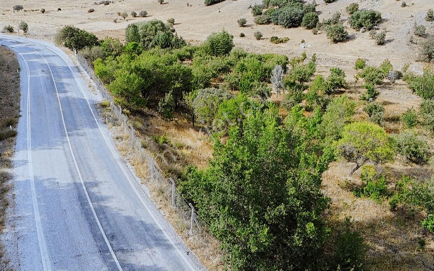 Konyaya Yakın, Asfalt Cepheli, Elektrik Ve Sulu Müstakil Bahçe - Görsel 32