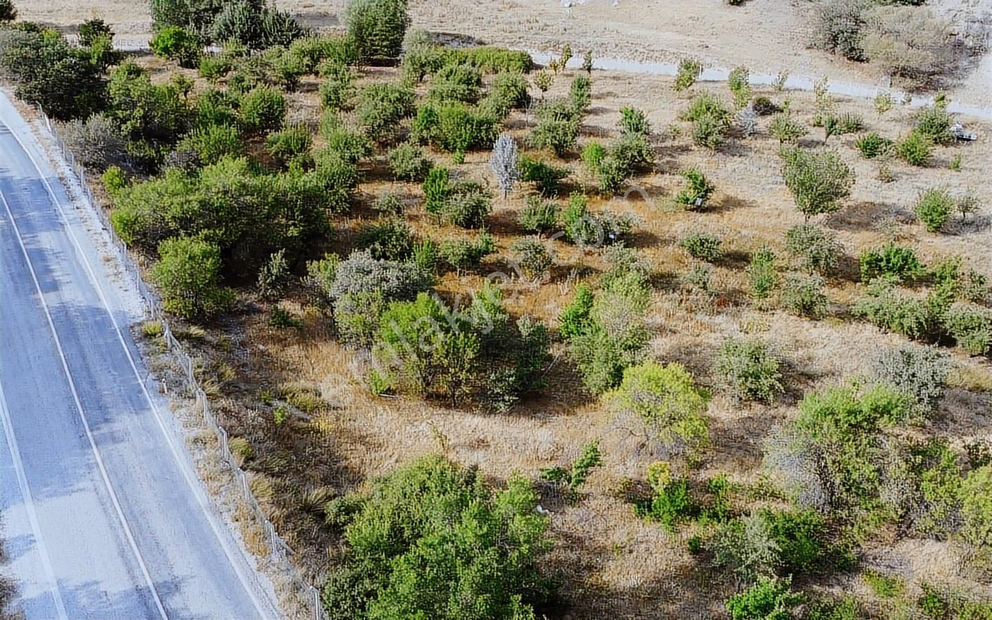 Konyaya Yakın, Asfalt Cepheli, Elektrik Ve Sulu Müstakil Bahçe - Görsel 35