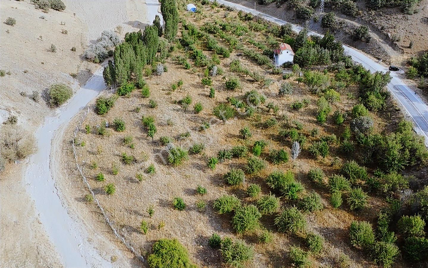 Konyaya Yakın, Asfalt Cepheli, Elektrik Ve Sulu Müstakil Bahçe - Görsel 34