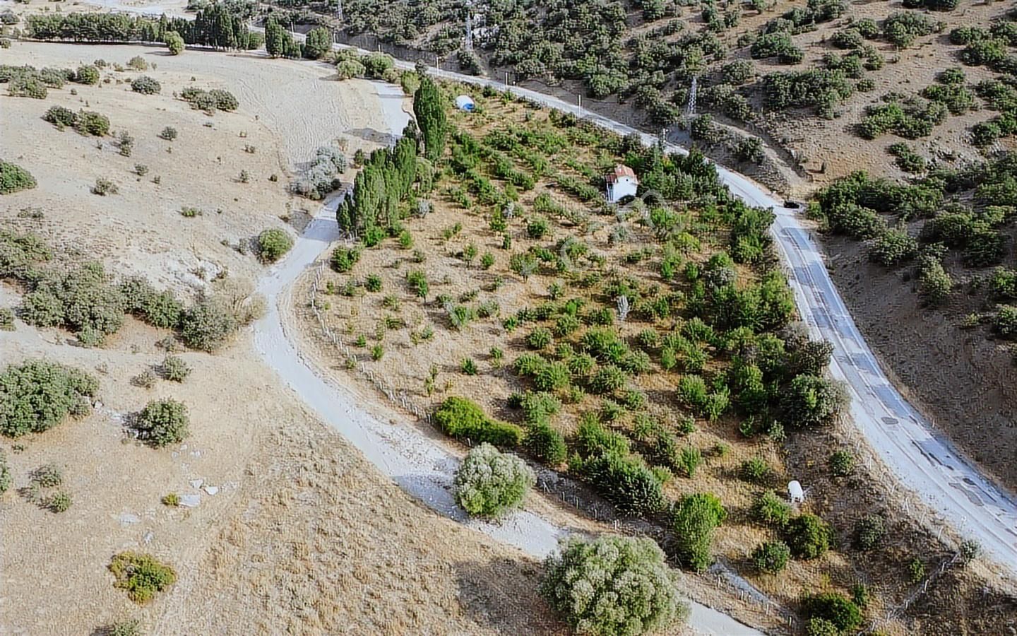 Konyaya Yakın, Asfalt Cepheli, Elektrik Ve Sulu Müstakil Bahçe - Görsel 11