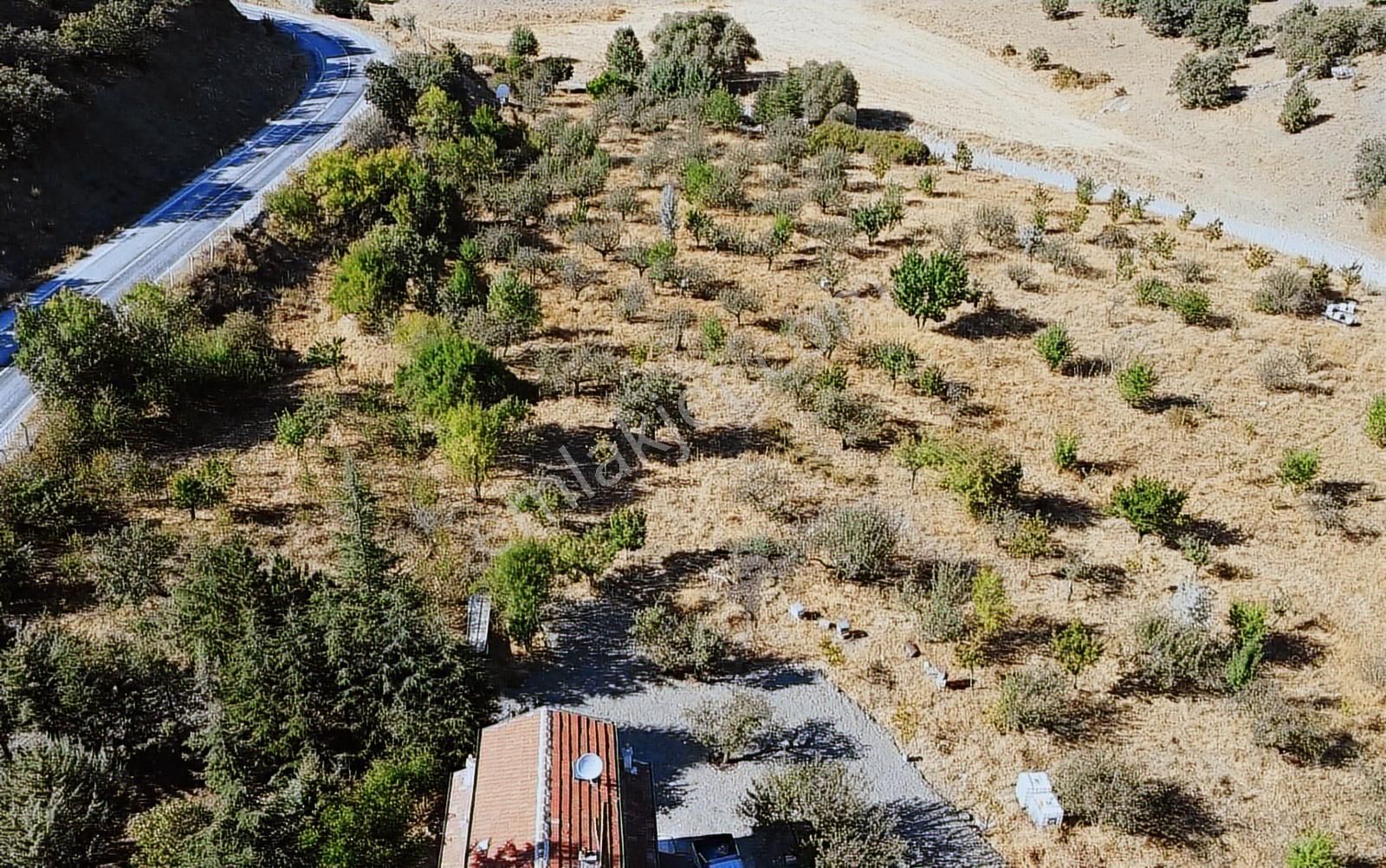 Konyaya Yakın, Asfalt Cepheli, Elektrik Ve Sulu Müstakil Bahçe - Görsel 5