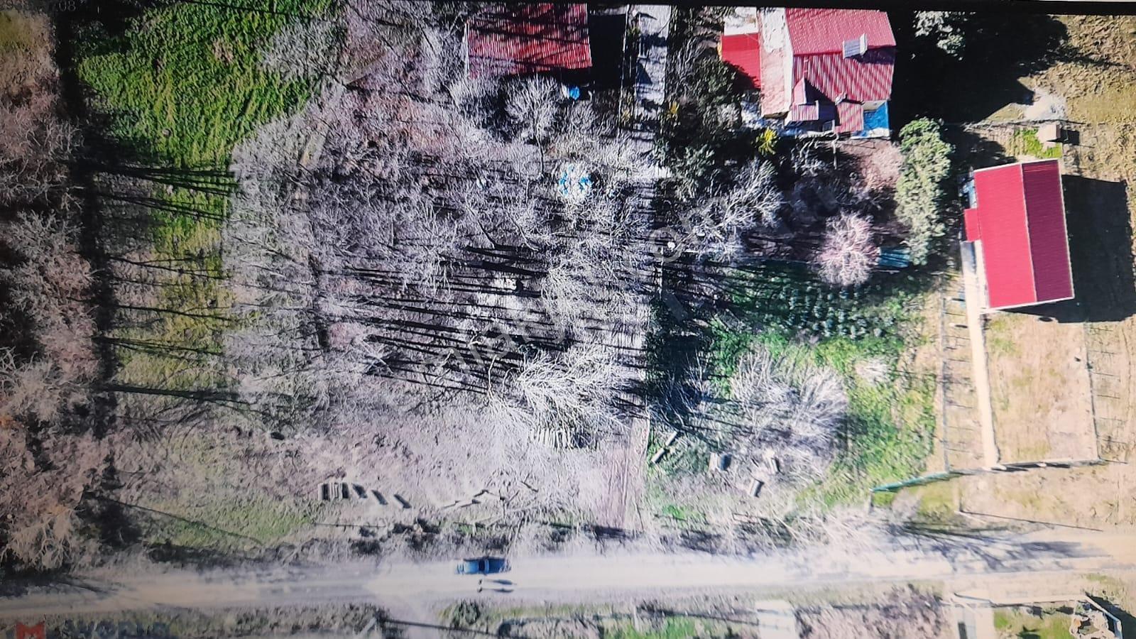 Erdem Emlak Ofisinden Satılık 19 Mayıs Yörüklerde Villalık Arsa - Görsel 14