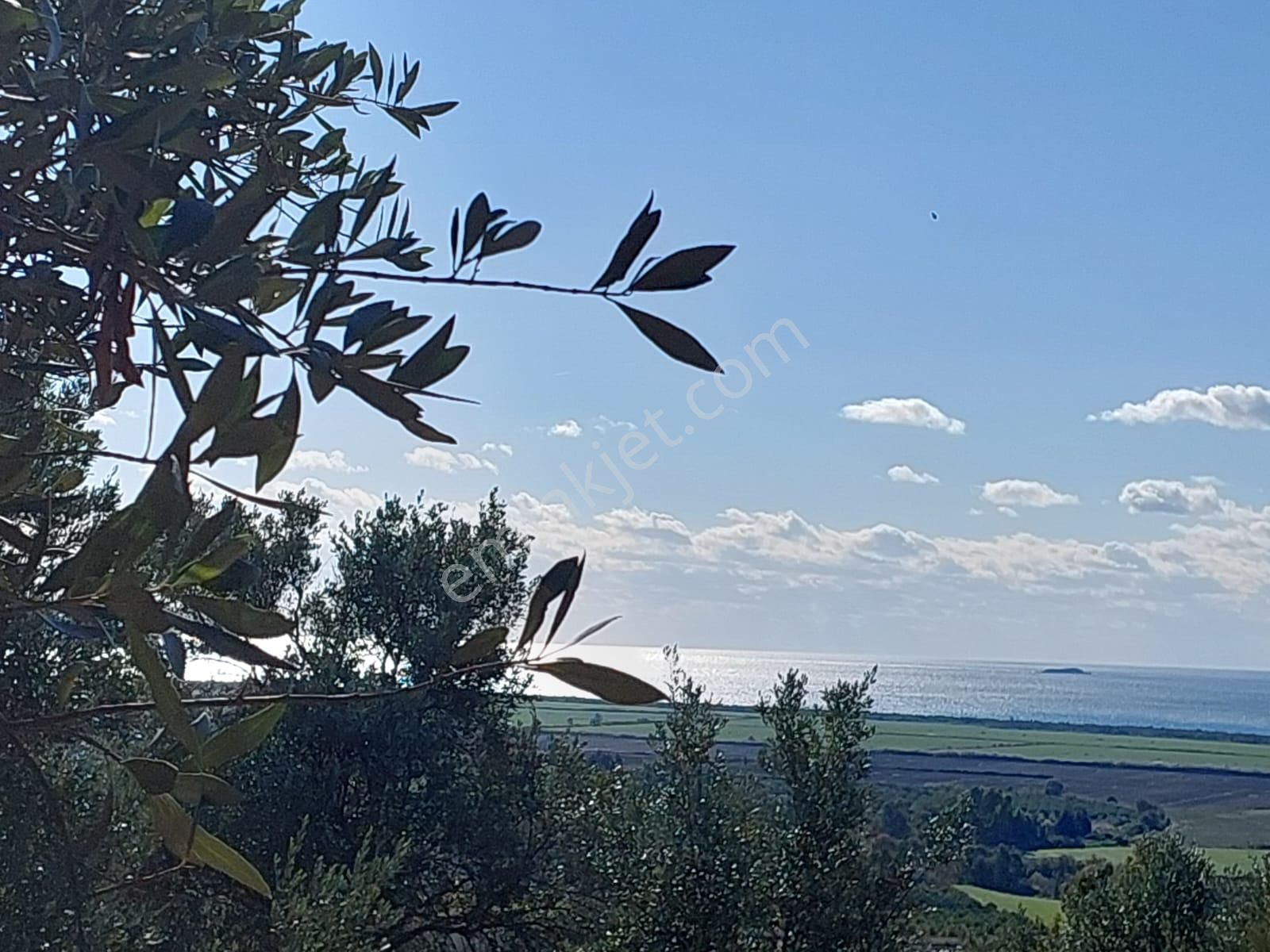 Ortaca Fevziye De Full Deniz Manzaralı 19 500 M2 Yatırıma Uygun Arazi Satılık - Görsel 7