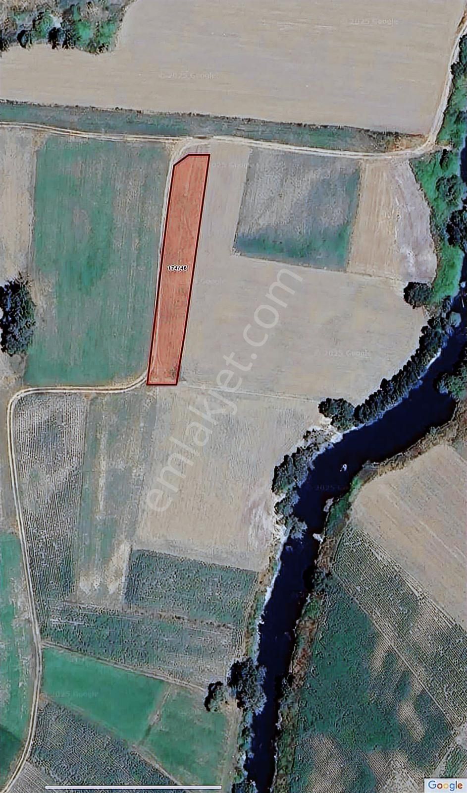 Bm Real Estate Mudanya Yörükyenicesi 1203 M2 Satılık Tarla