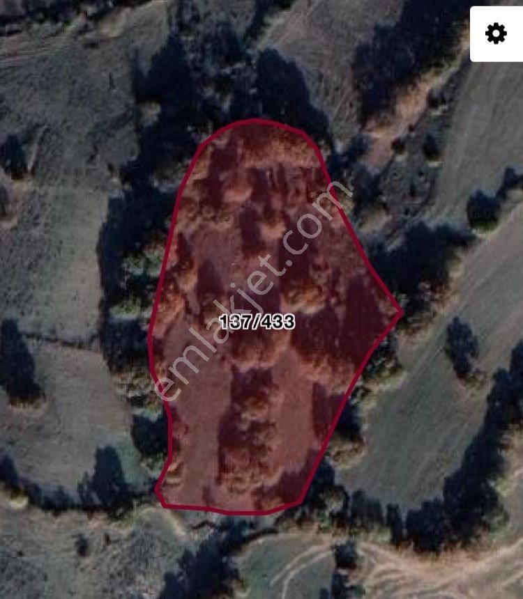 Balıkesir Karesi Toybelen'de 7600 M2 Yatırımlık Fırsat Tarla - Görsel 4