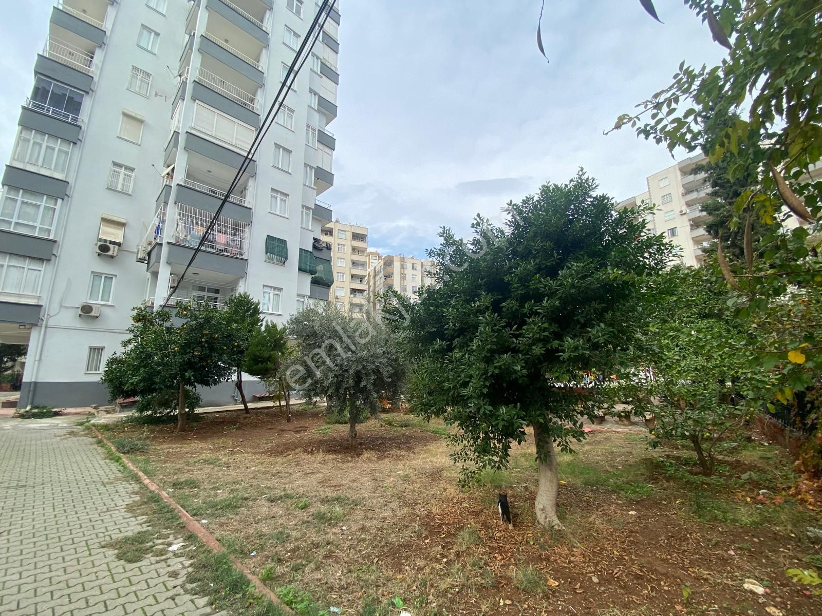 Mavi Bulvarda 3+1 Hasarsız Satılık Daire - Görsel 15