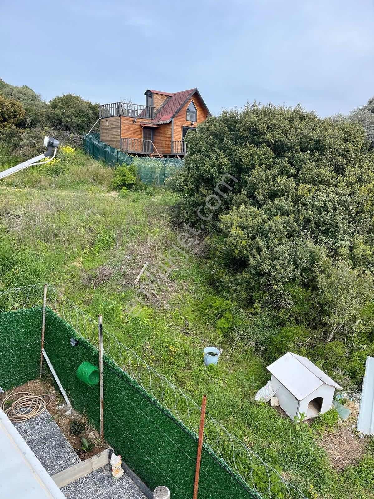 Mudanya Altıntaş'da Ana Asfalt Üzeri Satılık Hobi Bahçesi - Görsel 17