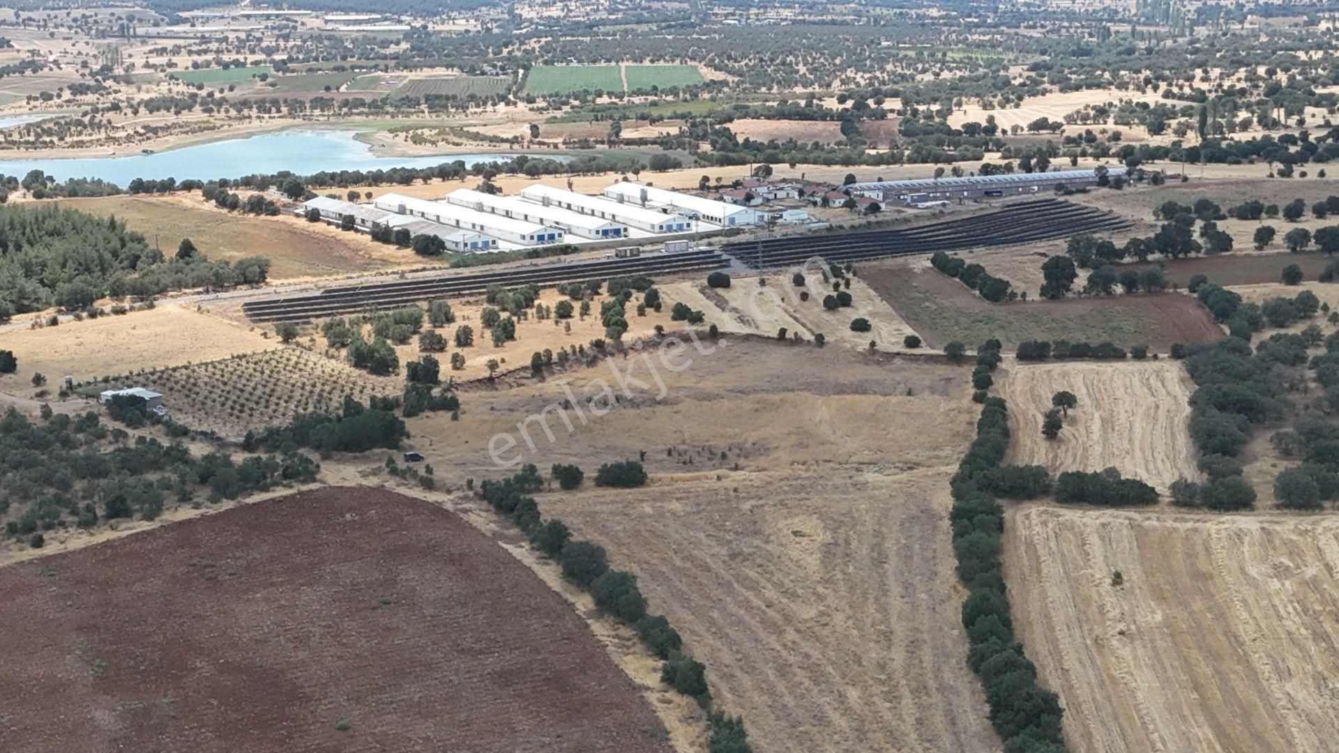 Uşak / Eşme / Kıranköy Mahallesinde 2.050 M² Müstakil Tapulu Tarla - Görsel 4