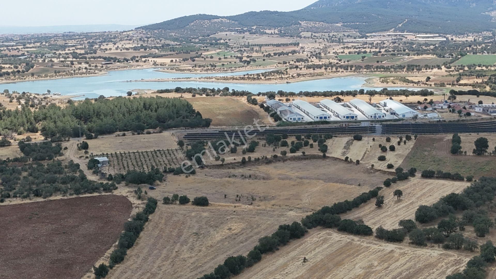 Uşak / Eşme / Kıranköy Mahallesinde 2.050 M² Müstakil Tapulu Tarla - Görsel 3