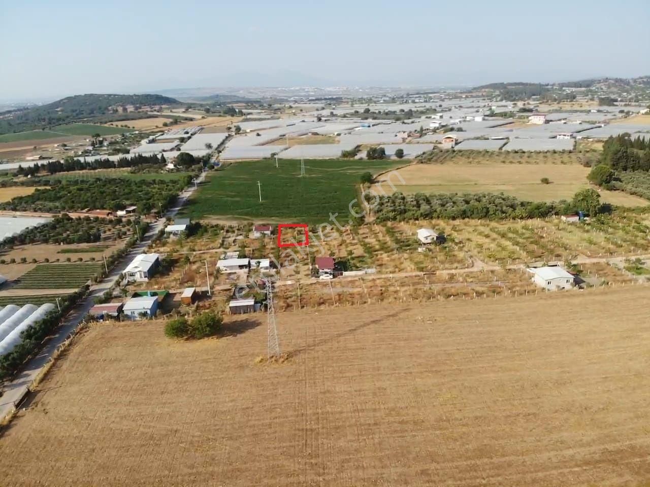 Değirmedere' De 240m2 Elektrik Su Alt Yapısı Hazır Satılık Bahçe - Görsel 6