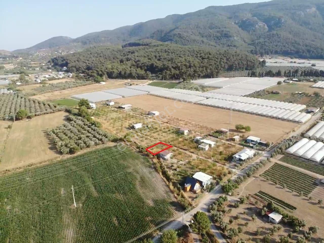 Değirmedere' De 240m2 Elektrik Su Alt Yapısı Hazır Satılık Bahçe - Görsel 4