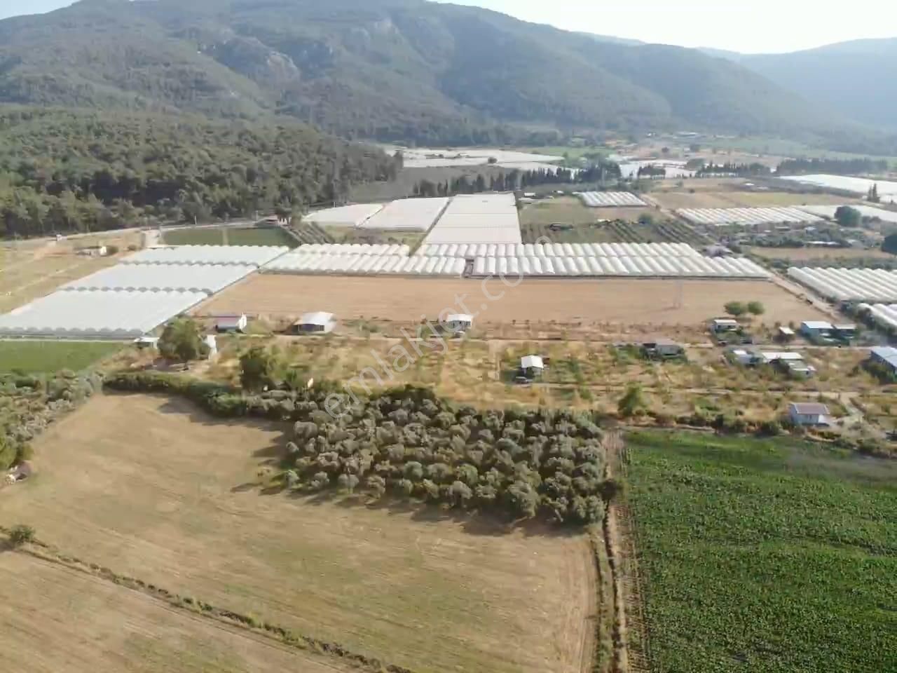 Değirmedere' De 240m2 Elektrik Su Alt Yapısı Hazır Satılık Bahçe - Görsel 13