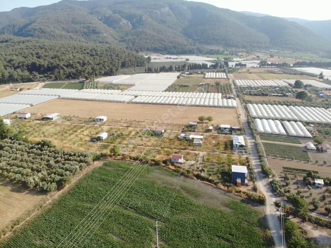 Değirmedere' De 240m2 Elektrik Su Alt Yapısı Hazır Satılık Bahçe - Görsel 5