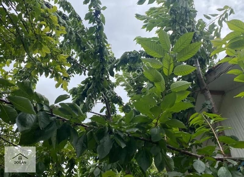 Ayaş Sinanlı'da 485 M2 Tek Tapu Üzerinde Ev Olan Satılık Arsa - Görsel 24