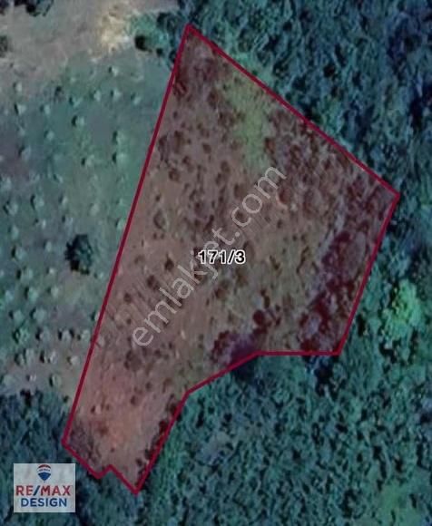 Sakarya İli Geyve İlçesi Koru Mahallesi'nde Satılık Tarla