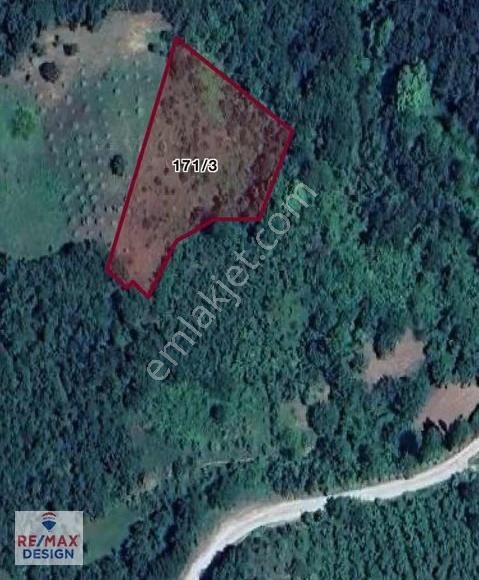 Sakarya İli Geyve İlçesi Koru Mahallesi'nde Satılık Tarla - Görsel 5