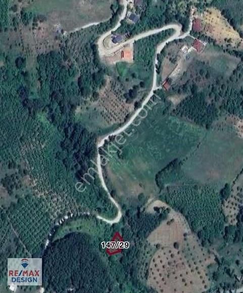 Sakarya İli Geyve İlçesi Koru Mahallesi'nde Satılık Bahçe - Görsel 3