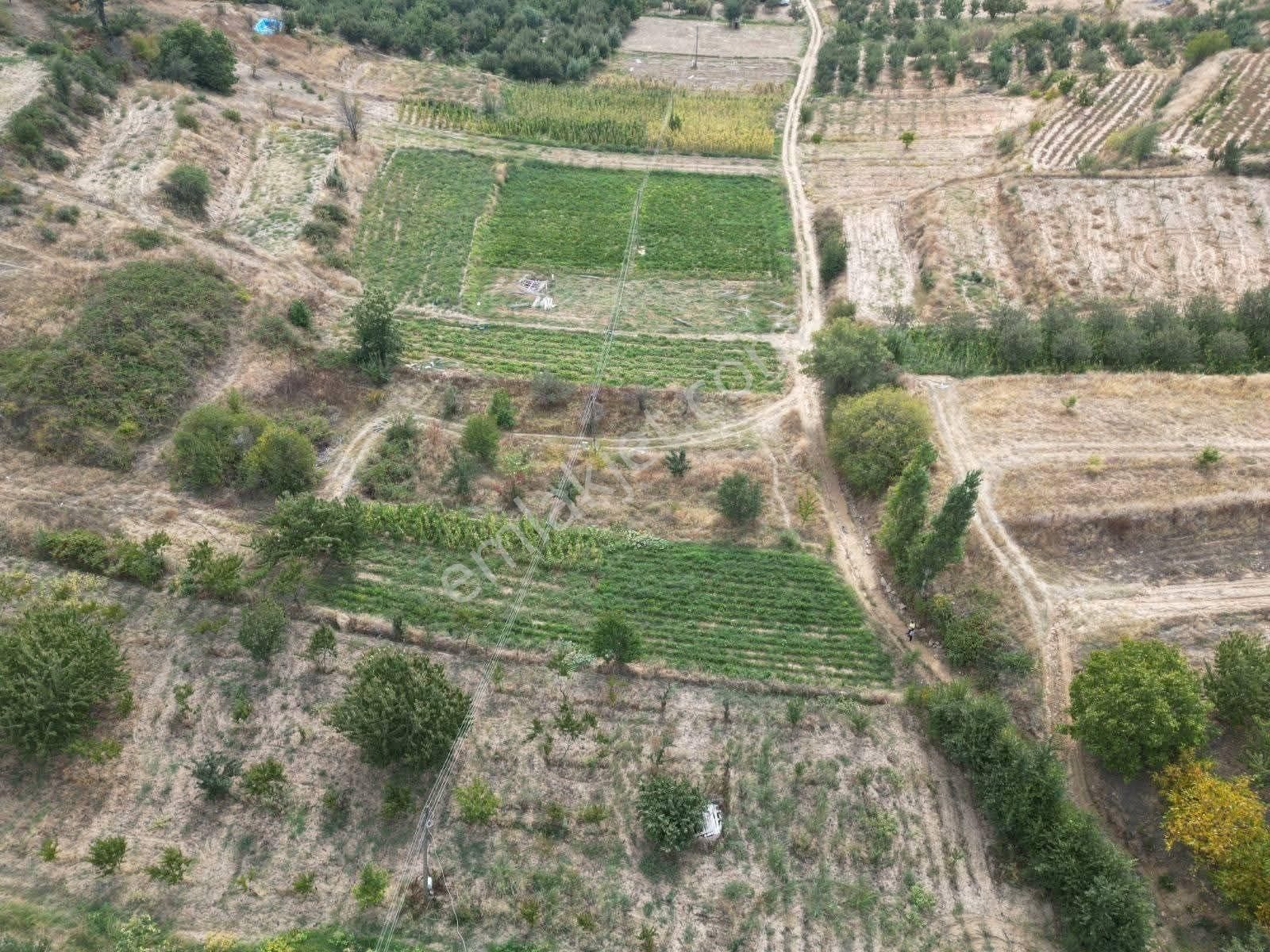 Mirac Emlaktan Denizli Buldan Yayla Da 1200 M2 Elektrik Su İmkanı Olan Hobi Bahçemiz Satılıktır - Görsel 4