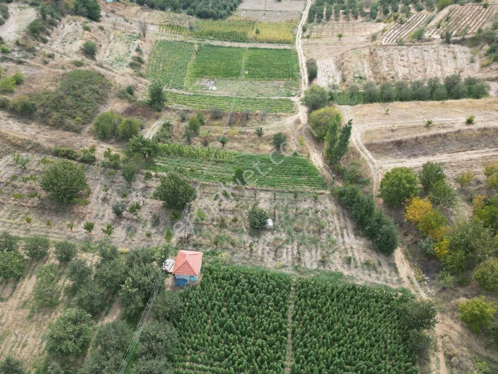 Mirac Emlaktan Denizli Buldan Yayla Da 1200 M2 Elektrik Su İmkanı Olan Hobi Bahçemiz Satılıktır - Görsel 7