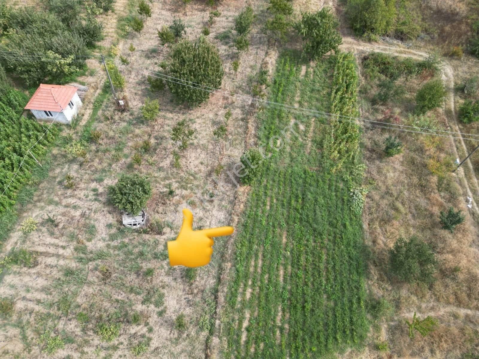 Mirac Emlaktan Denizli Buldan Yayla Da 1200 M2 Elektrik Su İmkanı Olan Hobi Bahçemiz Satılıktır - Görsel 5