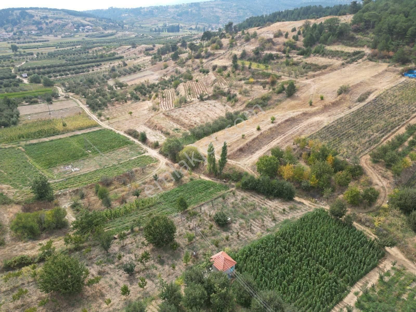 Mirac Emlaktan Denizli Buldan Yayla Da 1200 M2 Elektrik Su İmkanı Olan Hobi Bahçemiz Satılıktır - Görsel 3