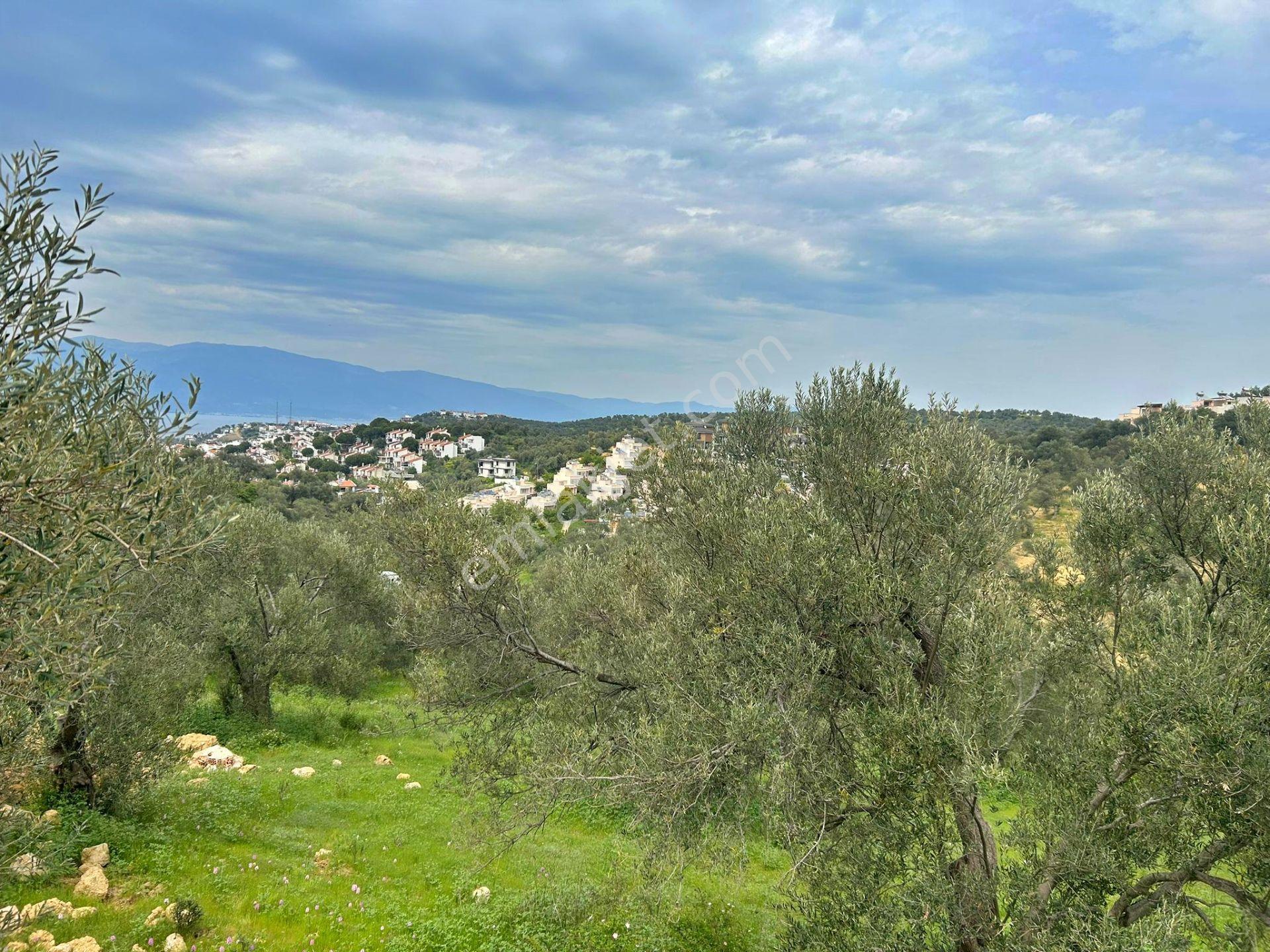 Uytundan Burhaniye Pelitköyde %20 İmarlı 12 Villalık Arsa - Görsel 2