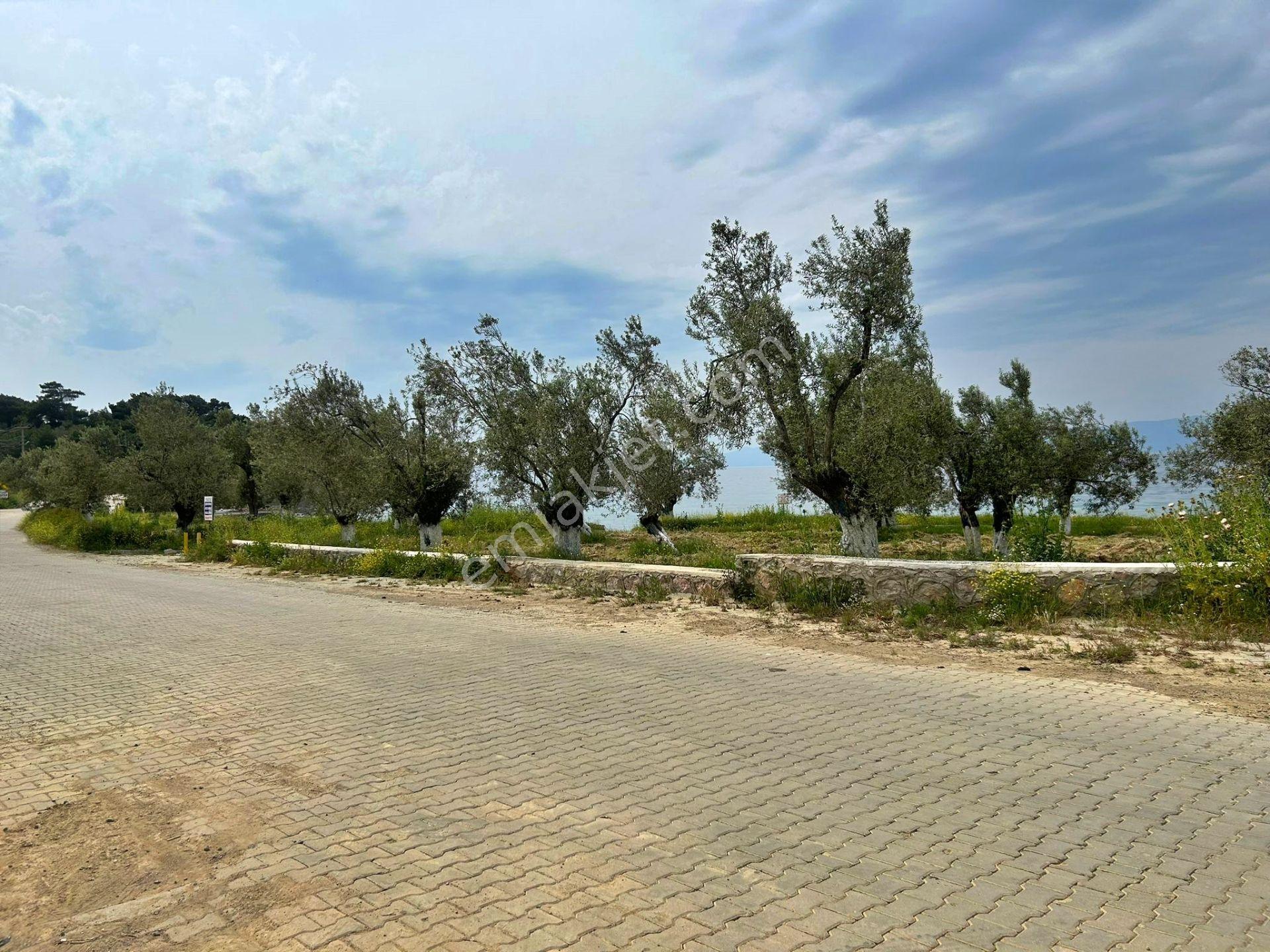 Uytundan Burhaniye Pelitköyde %20 İmarlı 12 Villalık Arsa - Görsel 30