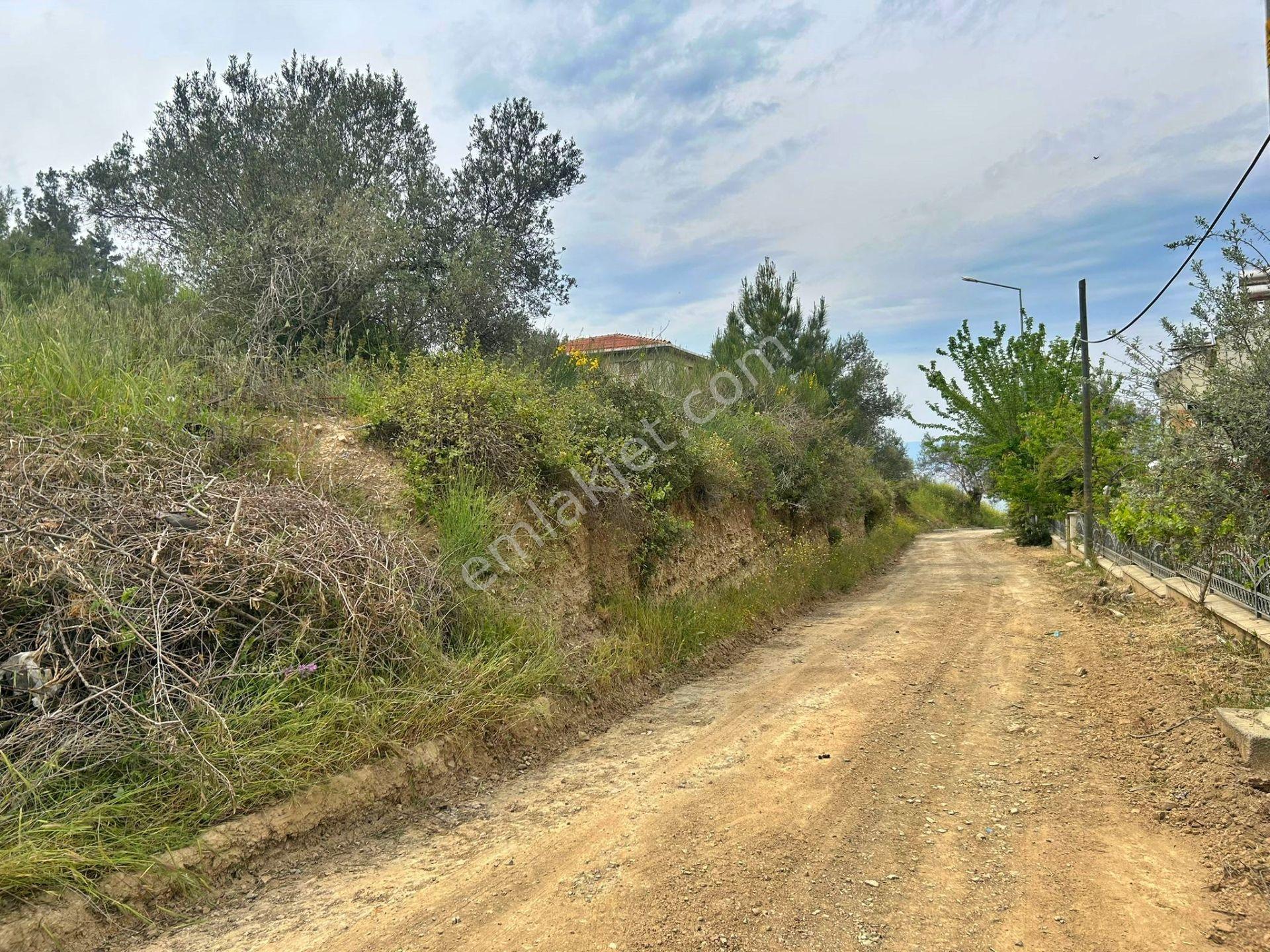 Uytundan Burhaniye Pelitköyde %20 İmarlı 12 Villalık Arsa - Görsel 31