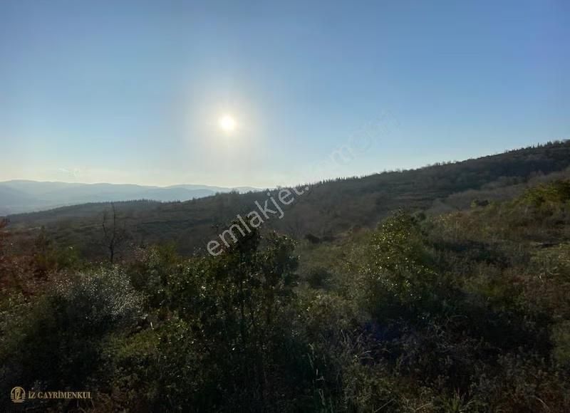 Çanakkale Doğandere Köyünde Satılık Tarla - Görsel 5