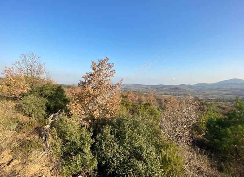 Çanakkale Doğandere Köyünde Satılık Tarla - Görsel 4