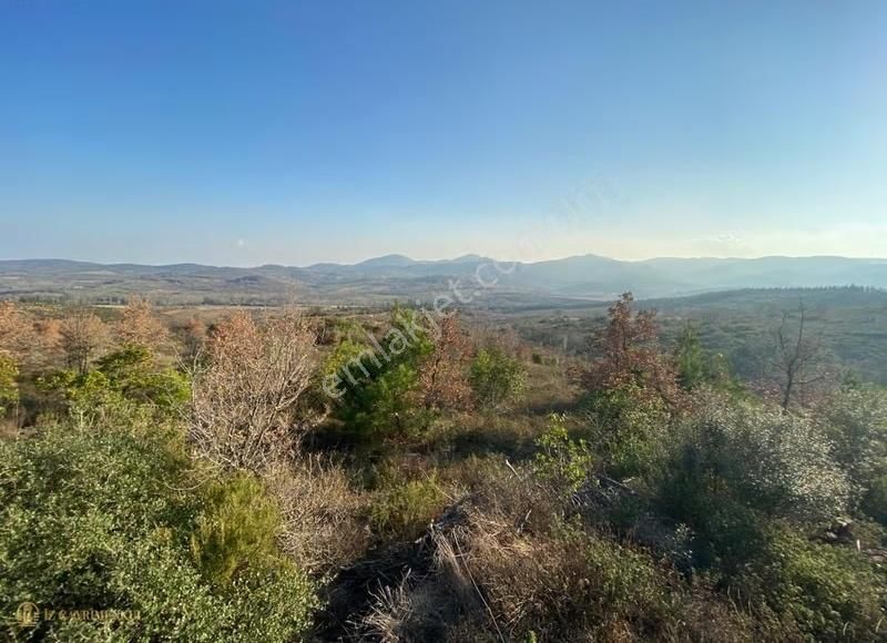 Çanakkale Doğandere Köyünde Satılık Tarla - Görsel 12