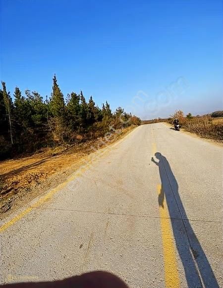 Çanakkale Doğandere Köyünde Satılık Tarla - Görsel 3