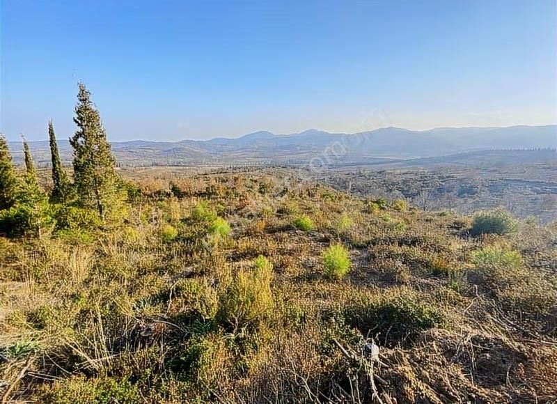 Çanakkale Doğandere Köyünde Satılık Tarla - Görsel 8