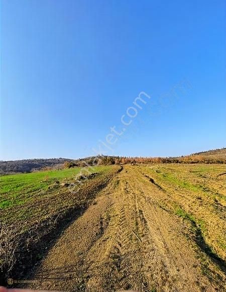 Çanakkale Doğandere Köyünde Satılık Tarla - Görsel 14