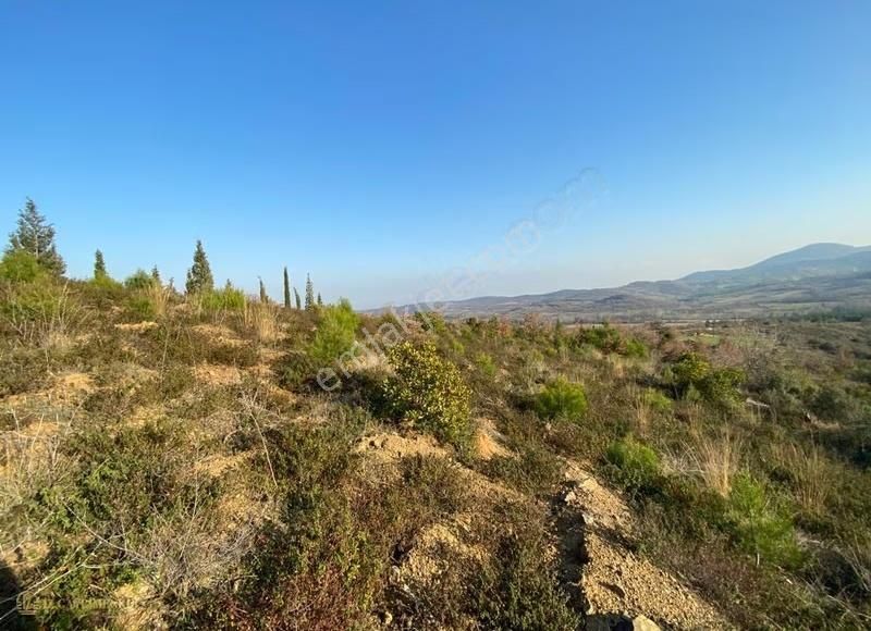 Çanakkale Doğandere Köyünde Satılık Tarla - Görsel 9
