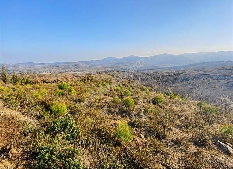 Çanakkale Doğandere Köyünde Satılık Tarla - Görsel 2