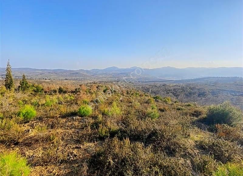 Çanakkale Doğandere Köyünde Satılık Tarla - Görsel 10