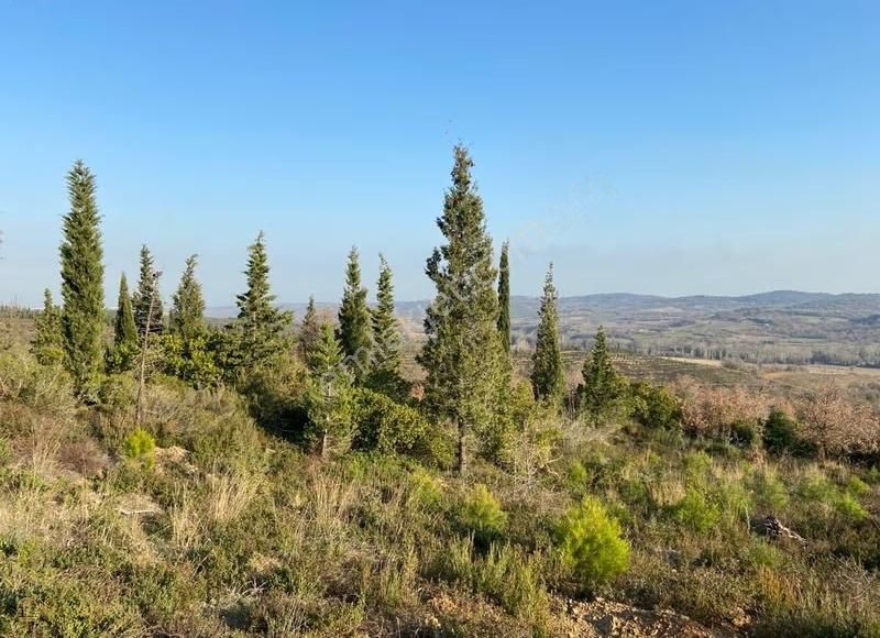 Çanakkale Doğandere Köyünde Satılık Tarla