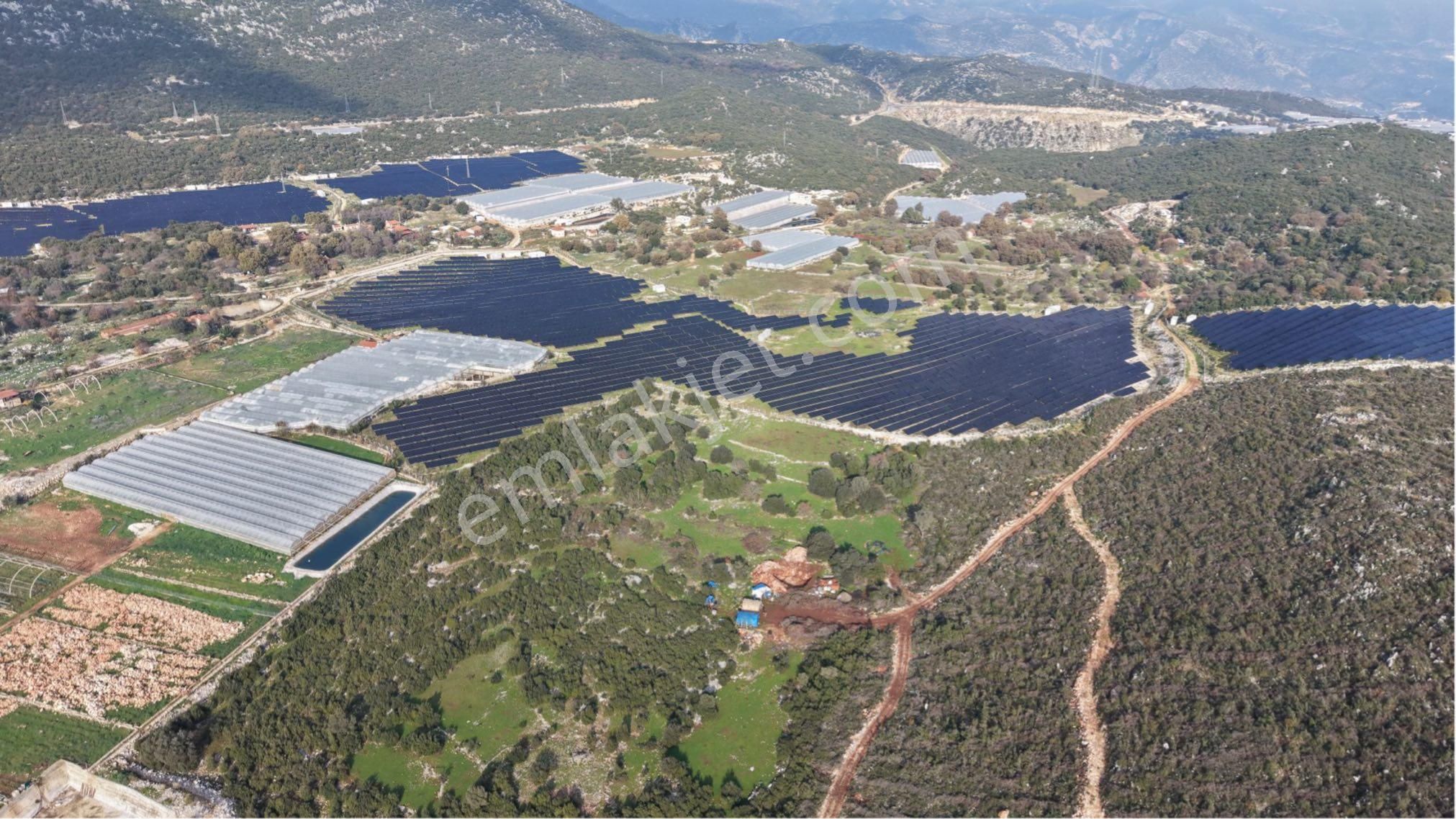 Antalya Demre Gürses Mahallesi Satılık 8.030m2 Tarla - Görsel 15