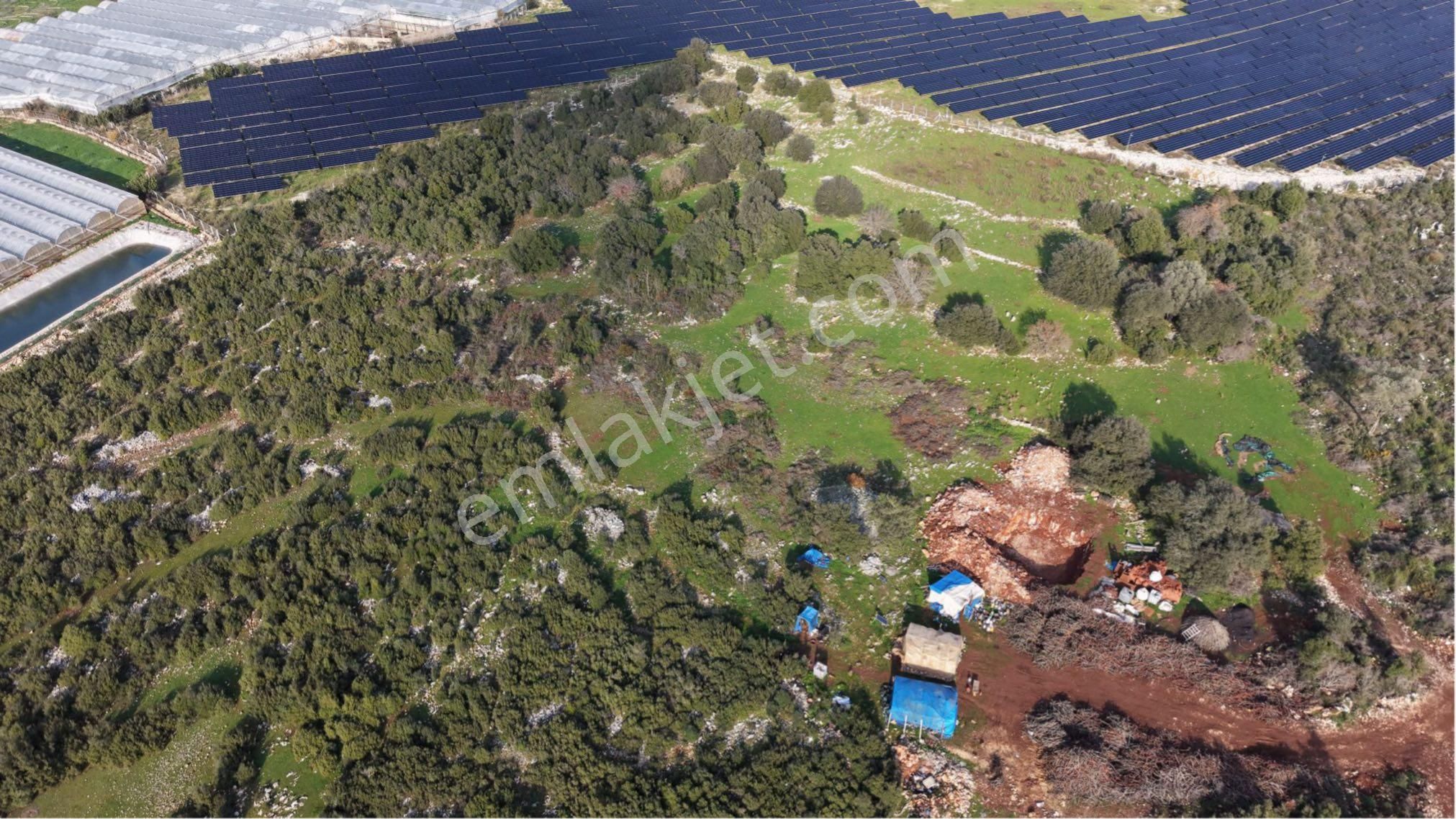 Antalya Demre Gürses Mahallesi Satılık 8.030m2 Tarla - Görsel 17