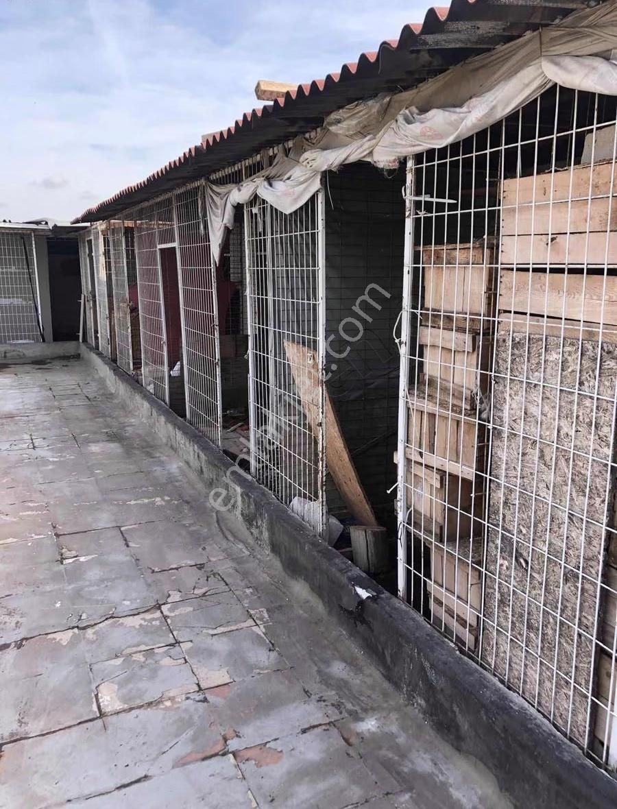 Merkezi Konumlu Acil Yatırımlık 700 M2 İşyeri Her İşe Uygun - Görsel 4