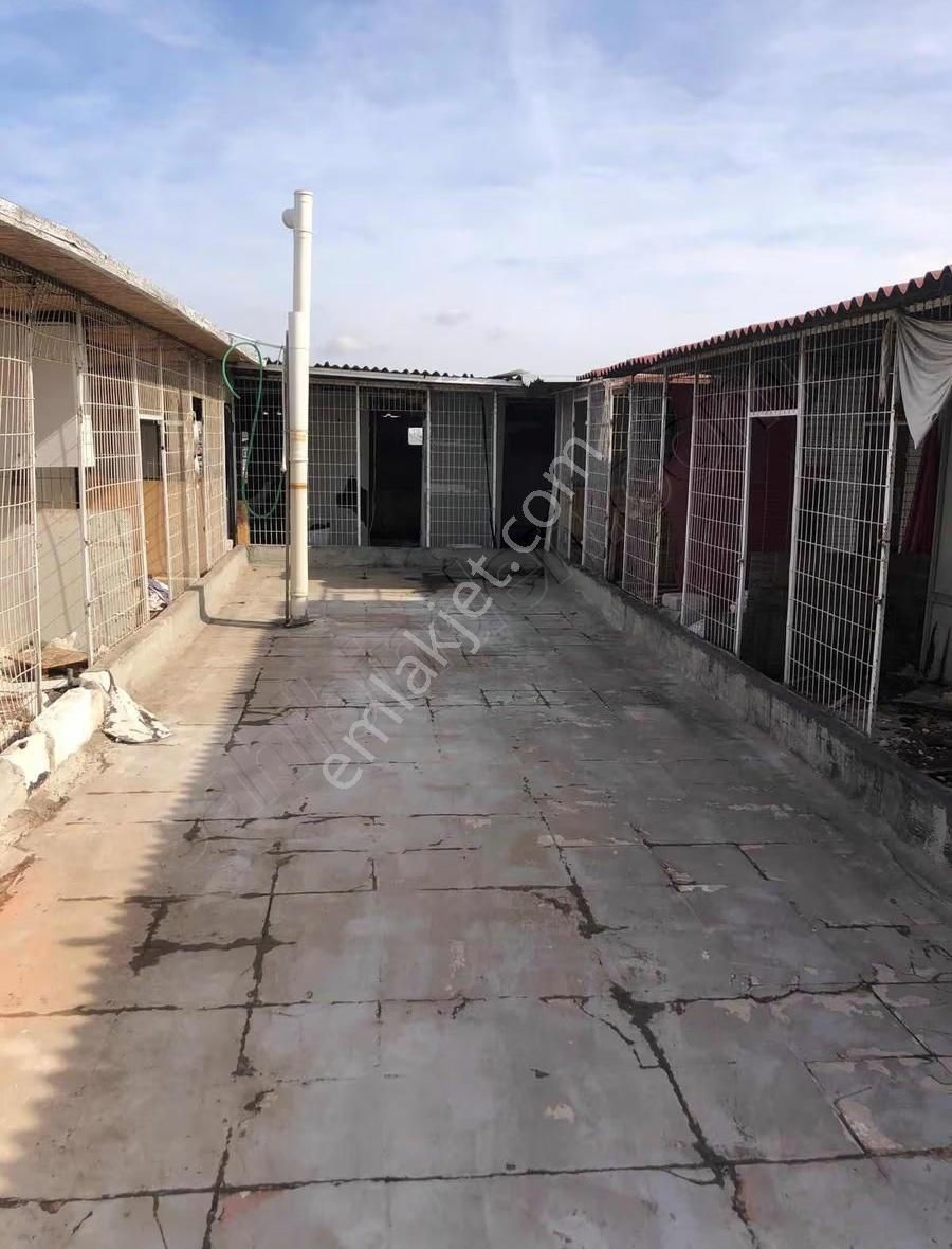 Merkezi Konumlu Acil Yatırımlık 700 M2 İşyeri Her İşe Uygun - Görsel 32